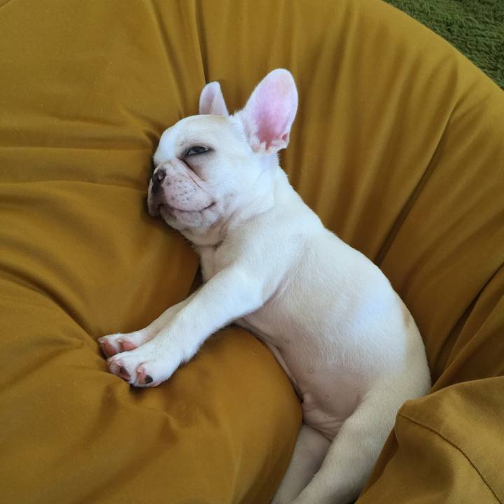 84321566 ab4a 47c5 afc8 3d94865450fa