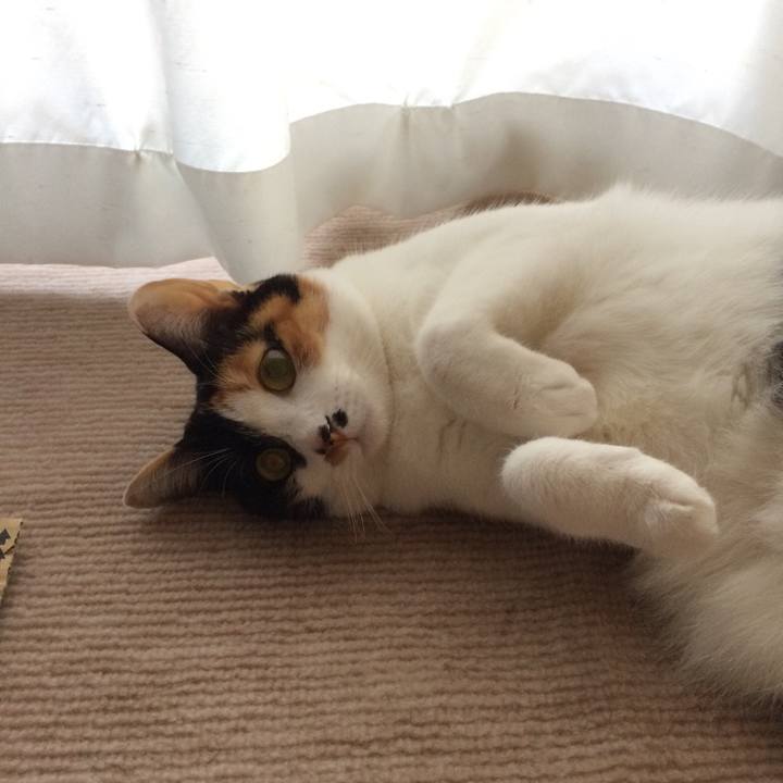 843251f0 3178 417a b2eb 7ce2d6227390