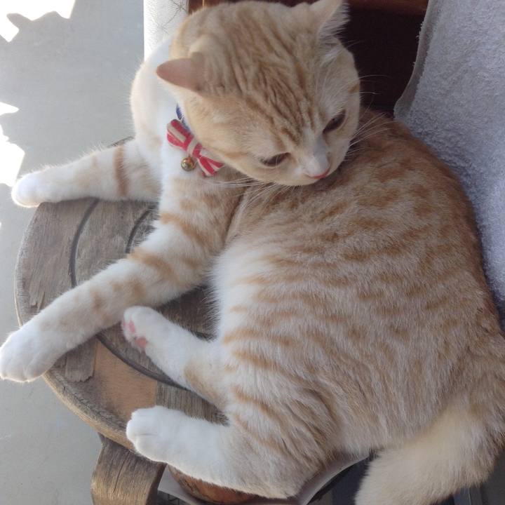 84328583 0c07 447c 9f4f 680d2ab6f233