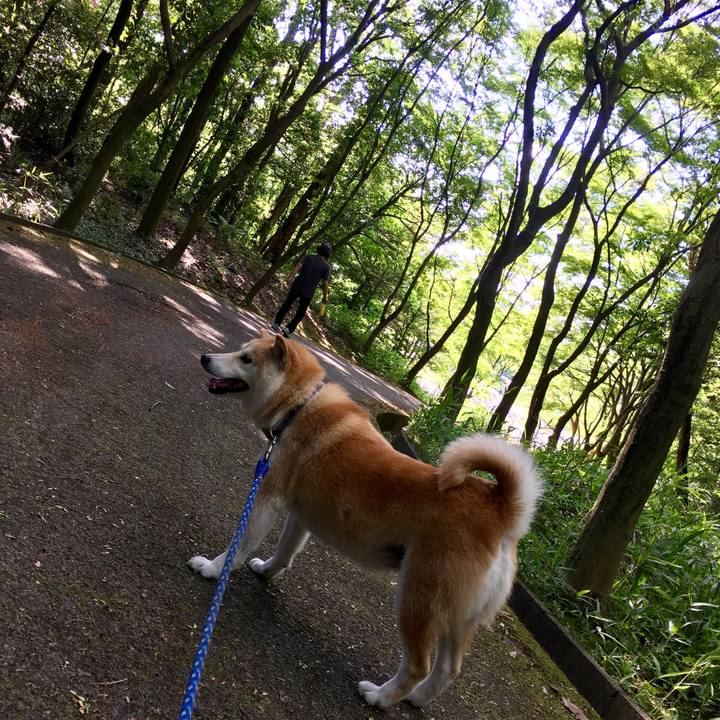 84333ac2 46cd 4df0 bcb9 8393b66e833f