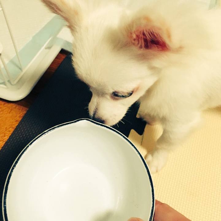 84339f53 6a9f 458a a3da d0994005868d