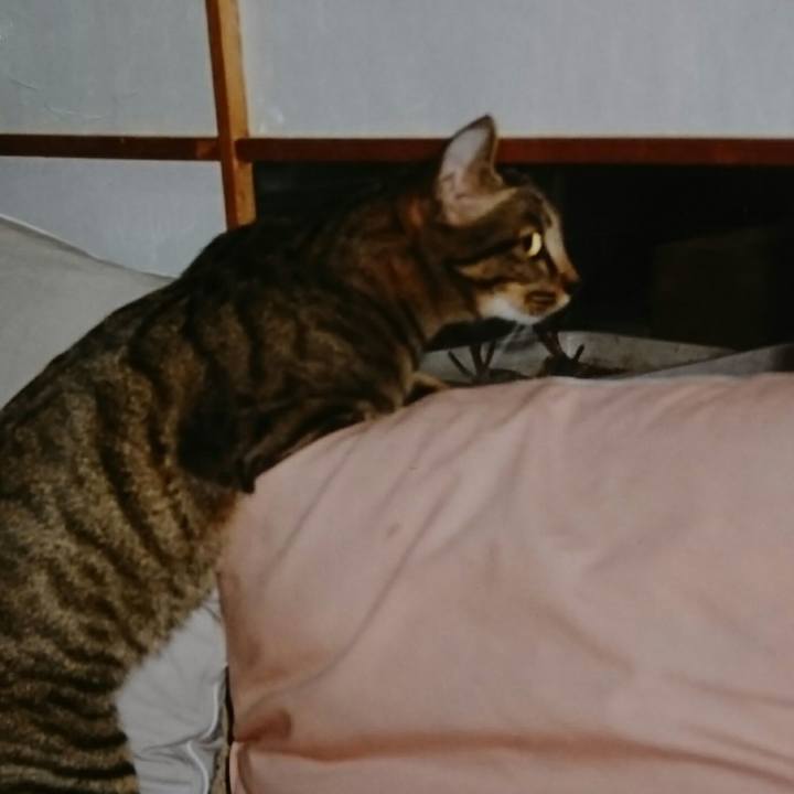 8433a18b 1880 4986 9c78 9d7f11ed5103