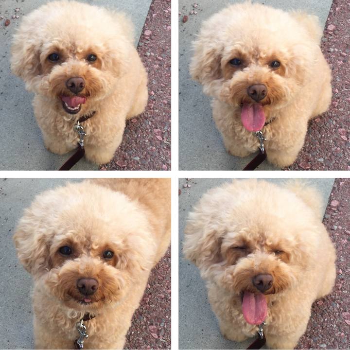 8433bcd5 c02e 4f12 b6f9 2022e864efb3