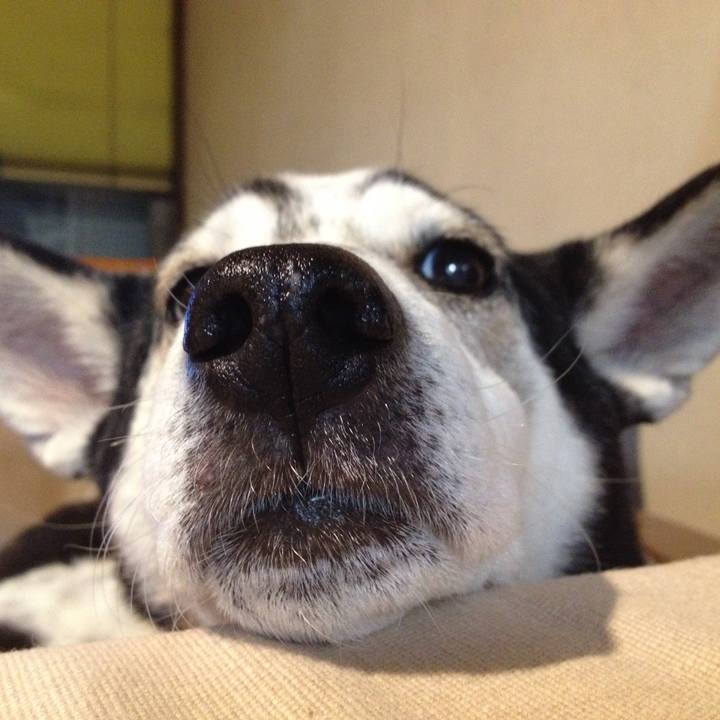 84354906 d18a 4108 8624 f7ce92ea6aca