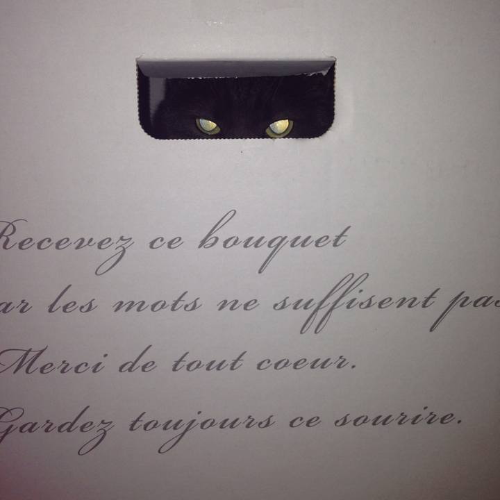 84356d49 b346 4663 9aa8 4296a4e54d7a