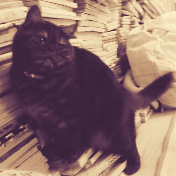 8435a6a4 864d 4802 924a f002ad533641