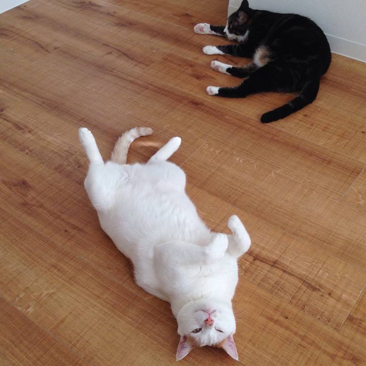 8435abc8 f55a 4271 b4b4 a887c5d63147