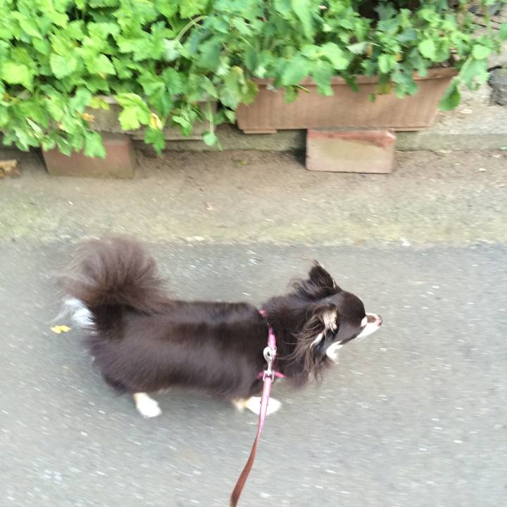 8435e671 865a 4da1 b938 d5800f3d5c0e