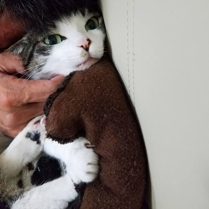 8436164b d650 4d3a 8bcb d717aafc8015