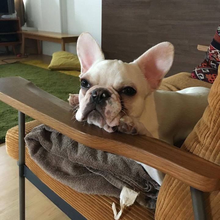 8436ba37 f0a4 48b0 810c edbe9bc47551