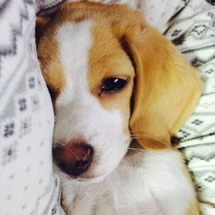 8436e077 183a 468c bce7 21f5dbbcccf2