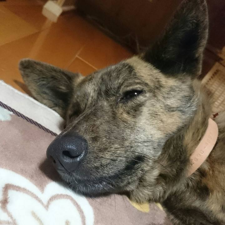 84370aa8 64cb 48f2 a525 cec322d6dafd