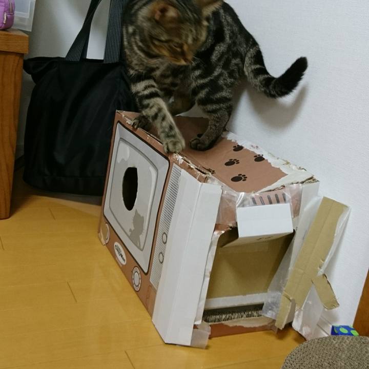 84371f49 e203 499a b2fb e558b41b55cb