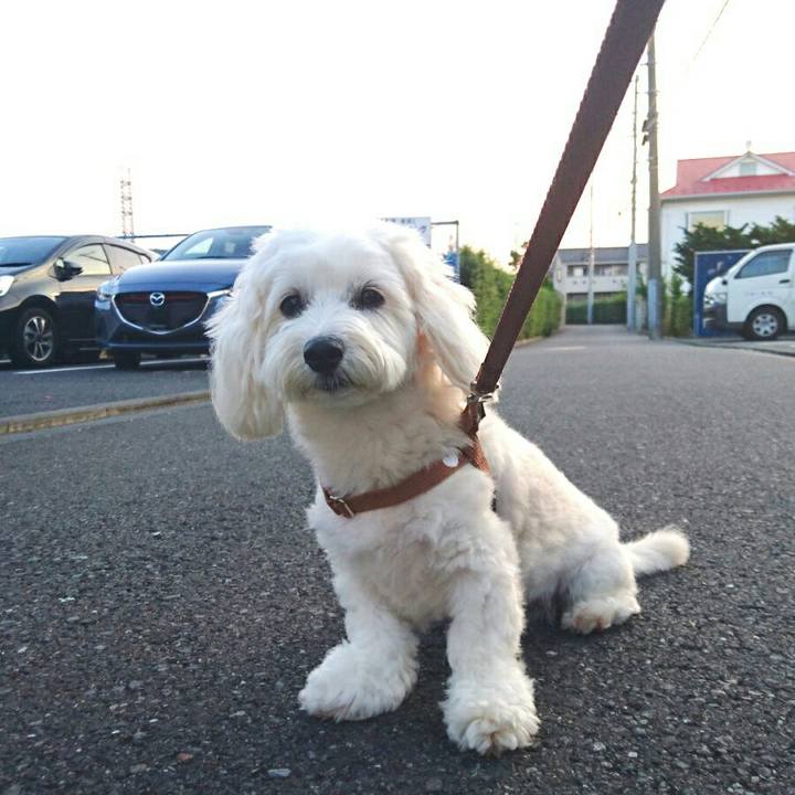 8437206b 864f 42fb b6f5 8efd47fa1edd