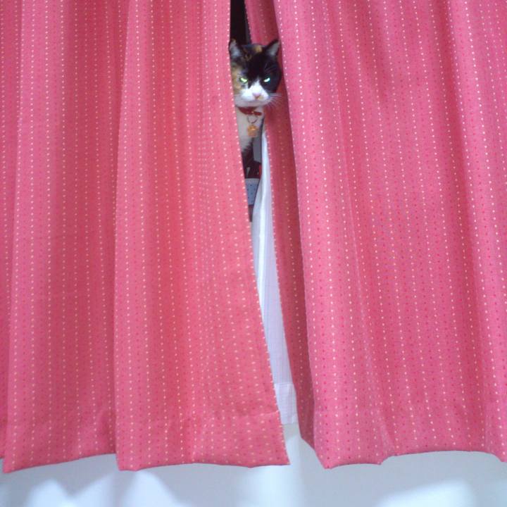 8437ab12 947a 4f75 88cd 0fbb0216925c