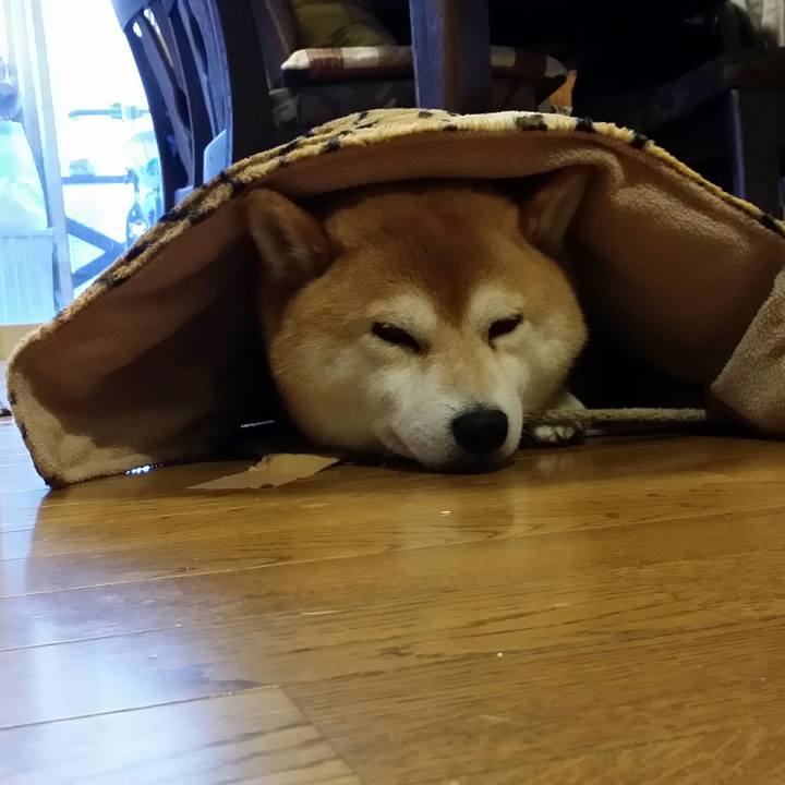 84382edf cbe3 449c 9a0c 48674647c787