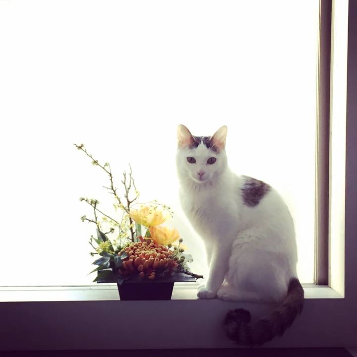 8438a6ef 203b 4fb3 aedf a53ffdca1b0b