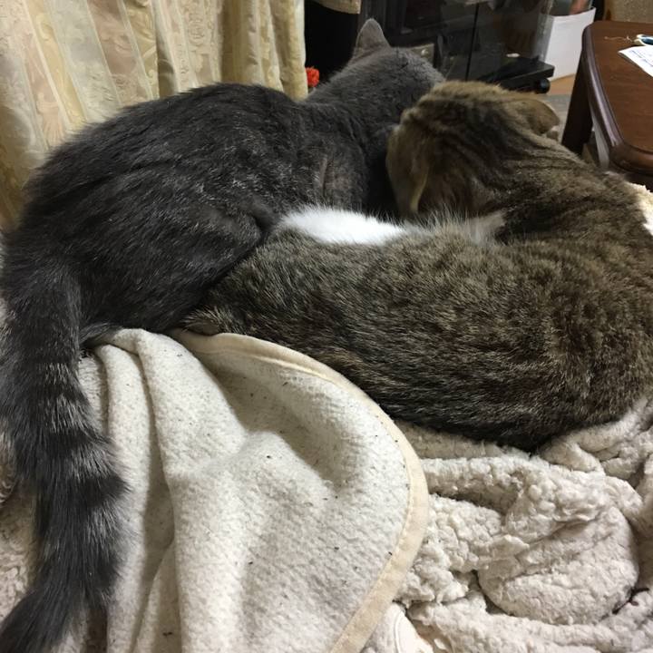 84392c20 846a 4824 8869 2ba937fe4ec7