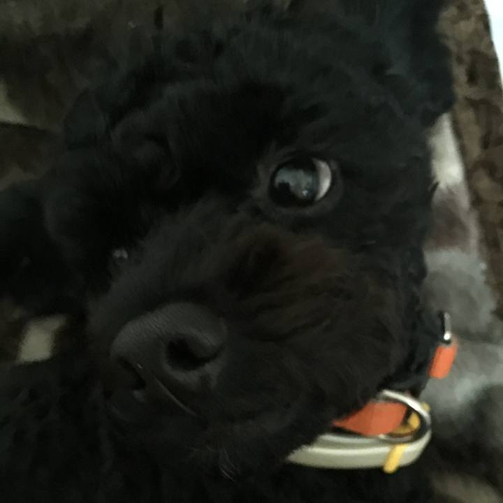 84394b1a 04ad 422b a90e ad71b9636e26