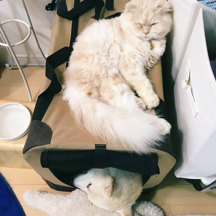 84398093 c610 43a0 bd7c 37e66112e045