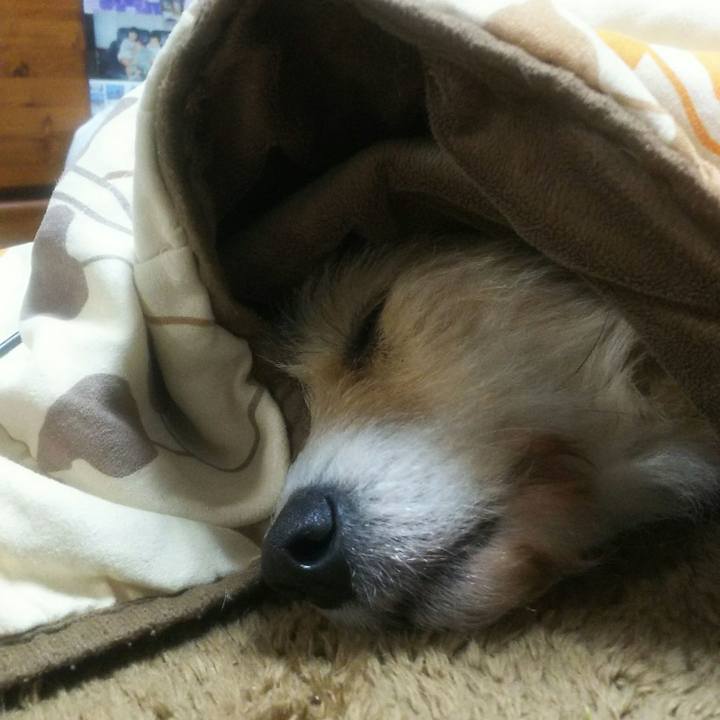 84398f44 b88b 4a2f 973a 67550ea9c456