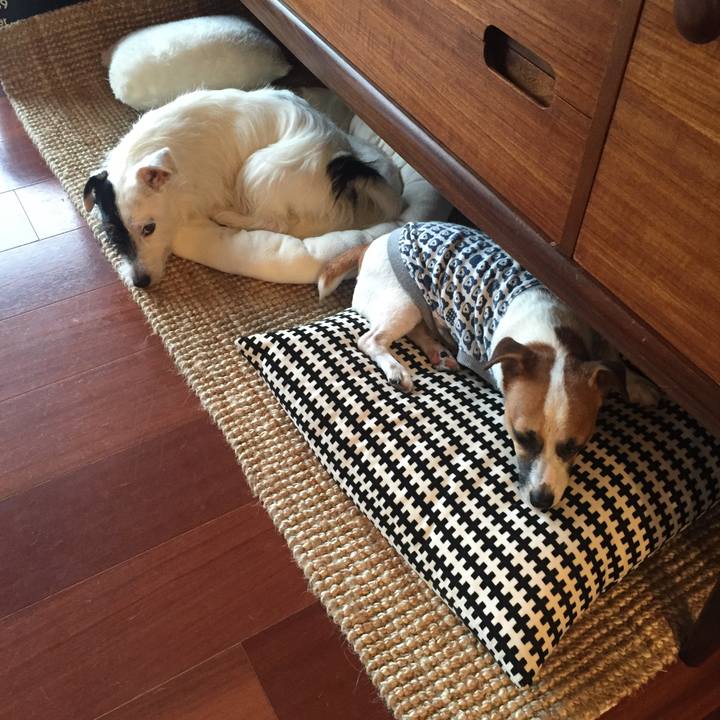 8439a33b 3007 44b1 95a1 7adf7d1e14bb