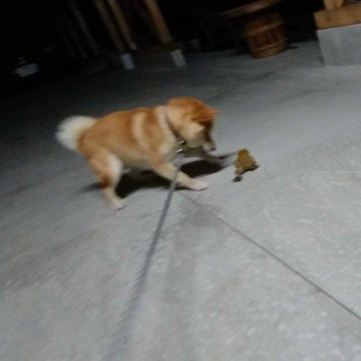 8439dfa8 688f 4801 b479 786db9790e9b