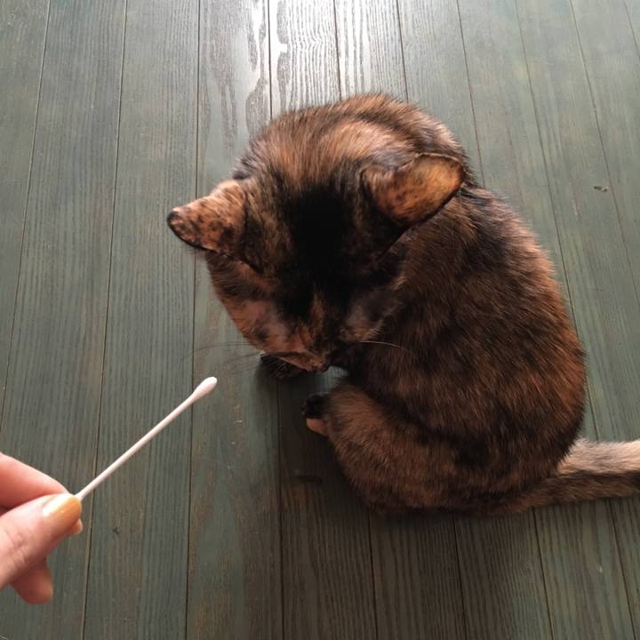 843a3eb1 698c 4c11 af9f 861829df23e1