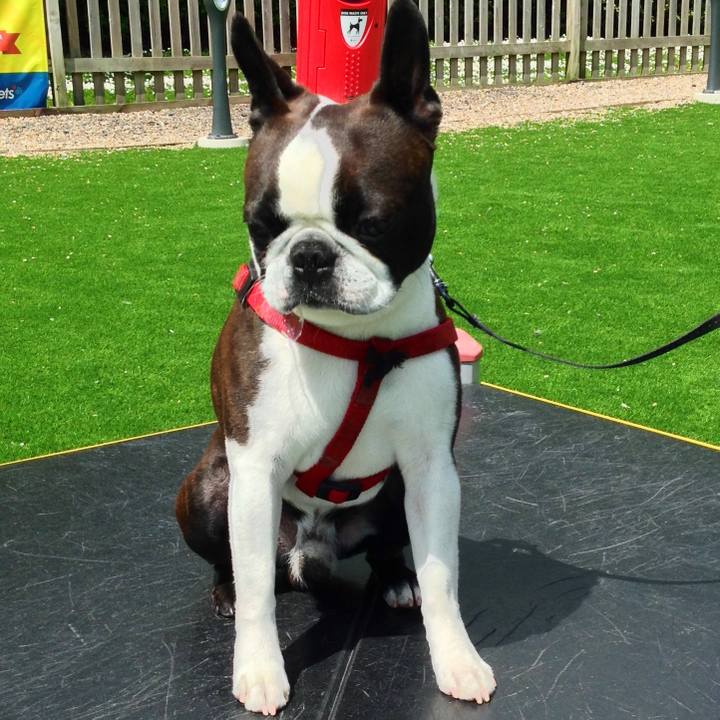 843a500a 5efd 4d7e 939a 0b4a80157f25