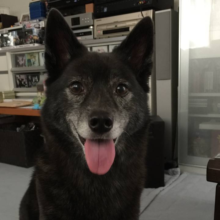 843a6795 47b2 4ef3 8423 a48cf627c37c