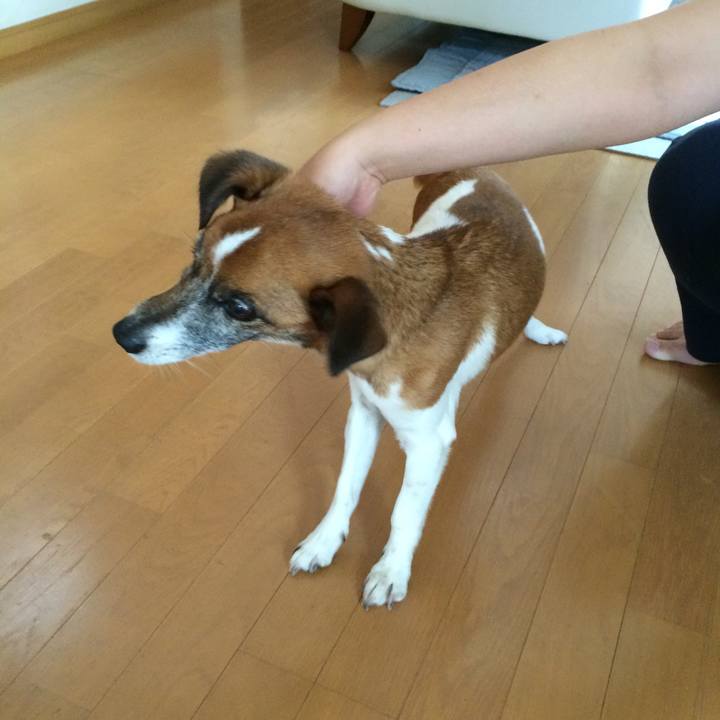 843ace7d a4f8 4eba 8c66 e07bd8216338