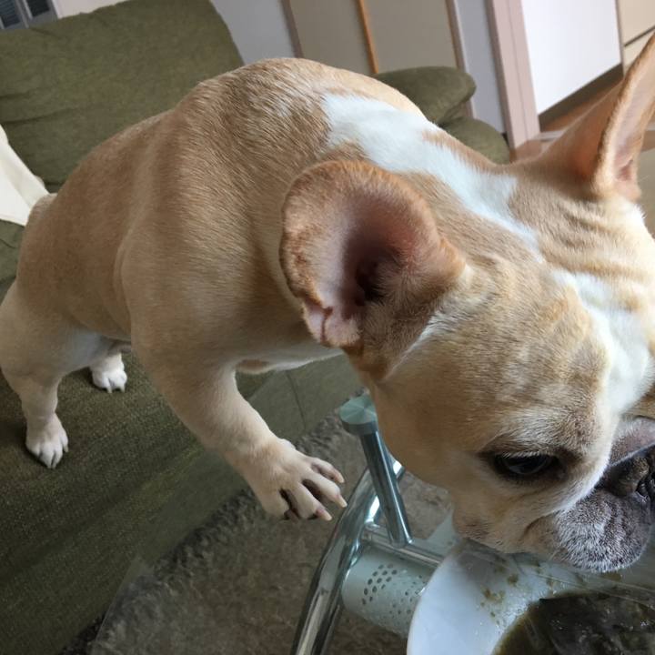 843b3a09 50d4 4675 97c4 3ba03887603d