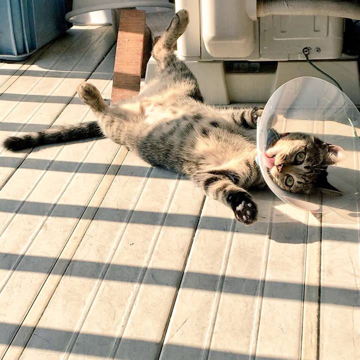 843c9343 b5de 44cf 8e25 8dab44160533