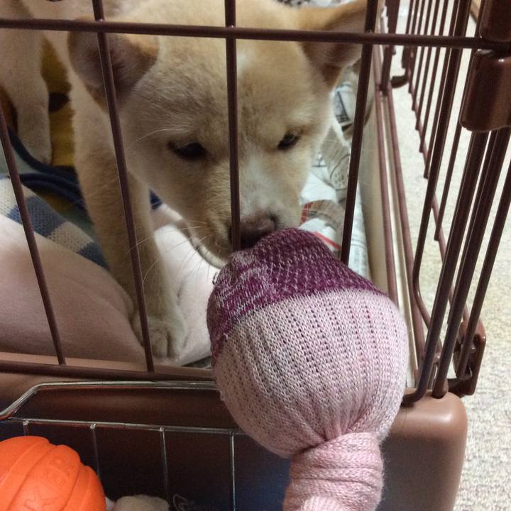 843d3f4b d3a2 440a b37b 41c72cef7c03