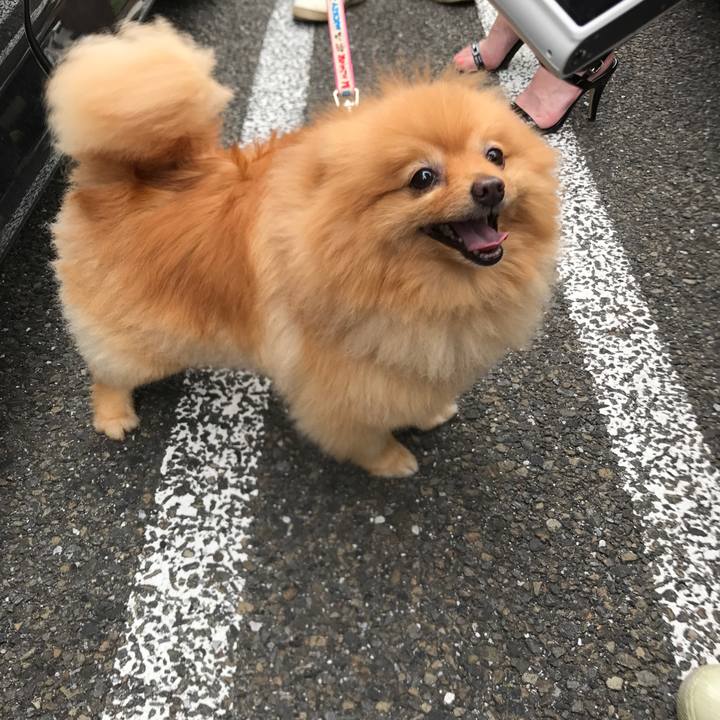 843da57c 6741 4c04 80d2 fdcbcbec2fc3