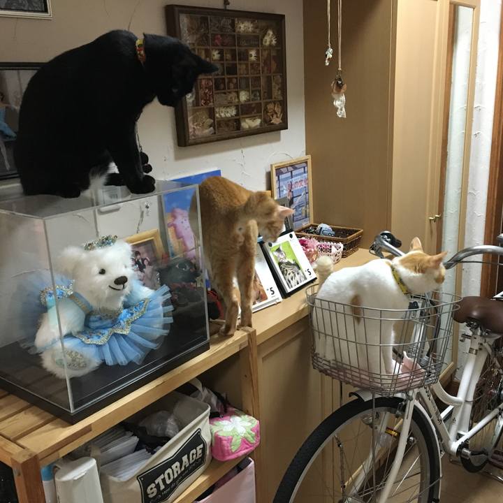 843daaf0 5608 48b7 9ffe 422befd3827a