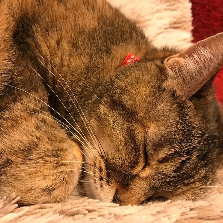 843ef896 a523 4d29 aca5 64f90cc6e31d