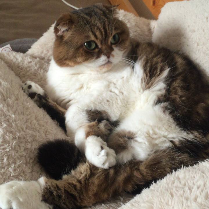 843f1dab d577 4eca 918c 1de0d006c355