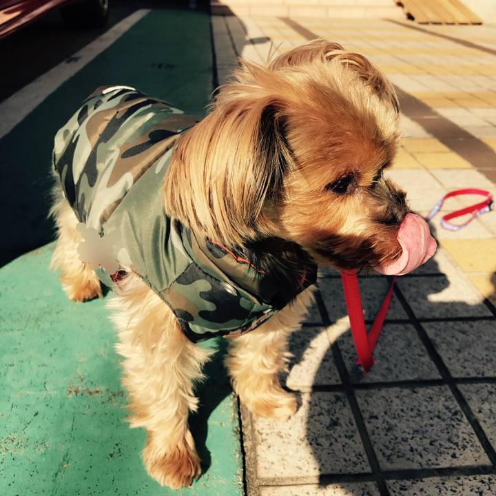 843f9852 715f 4382 80d2 2dadb5680ed6