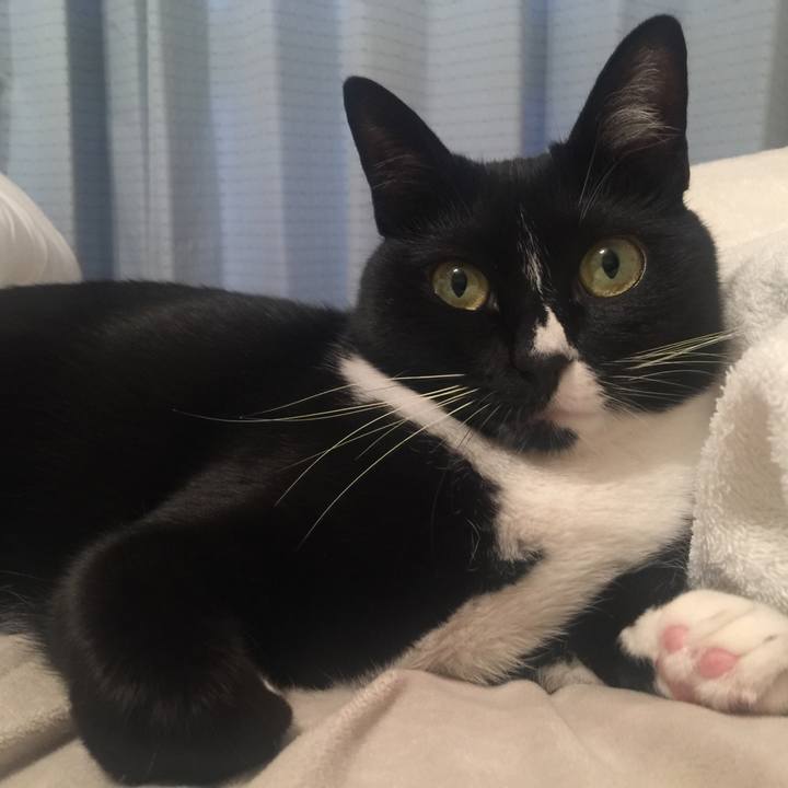 84405826 6ae6 432e 86e6 be7f382aa436