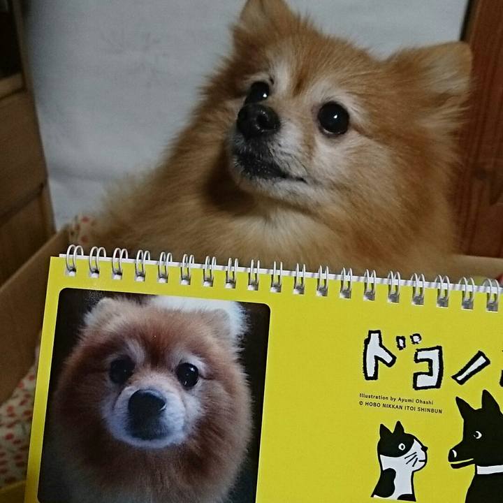 8440812b 3738 410c a546 b13d6591a9cd