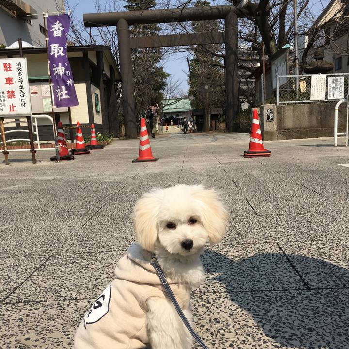 8440c0a9 ab8a 43d0 afa8 2974710ccaf4