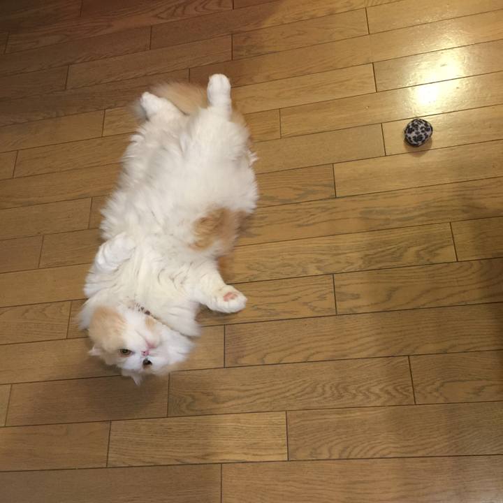 84413b64 058c 4ac6 acea e4c224ba9227