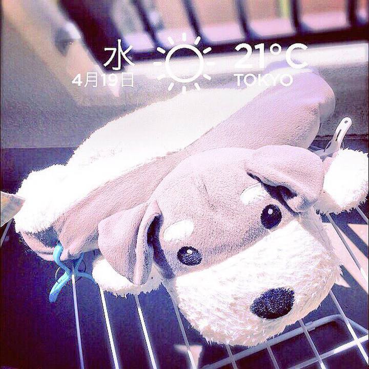 84422086 ef26 4a5a b5ca 99ad51e51ab9