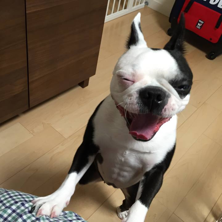 84422a28 4e4d 472a 9eeb 0e0a16f1d447