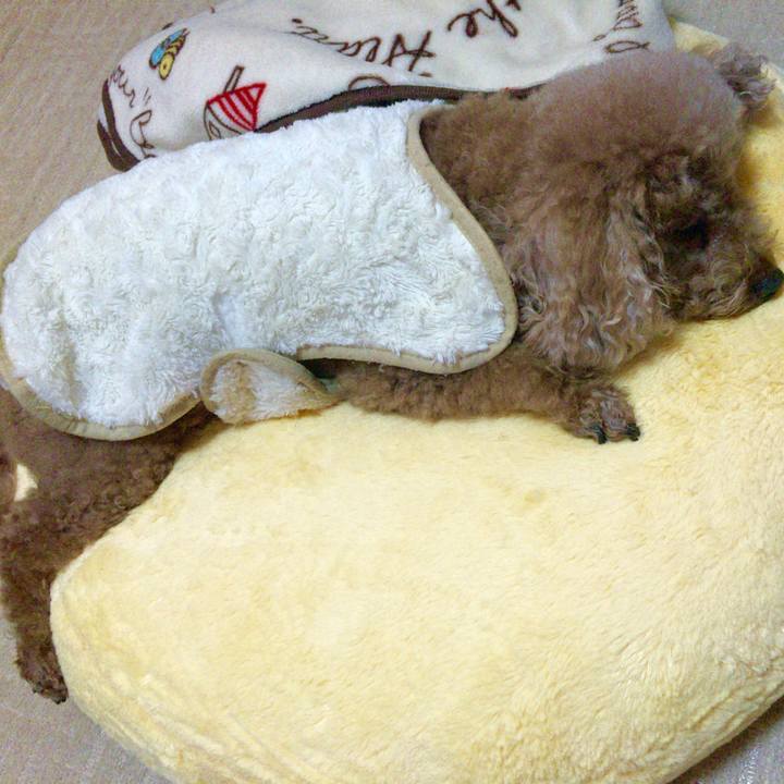 84428734 8a77 48b7 b924 4a0bb59b954b