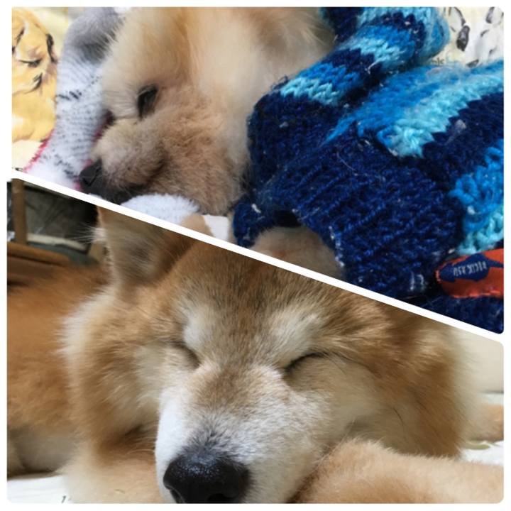 84436904 0fde 48c7 b56c 8d352df770fe