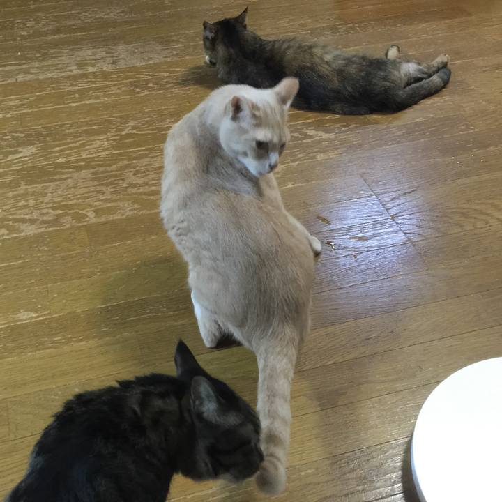 8443f110 d1ed 40ea a375 066121163218