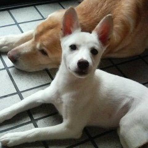 84441466 9996 417b 8773 5161c8107d4b