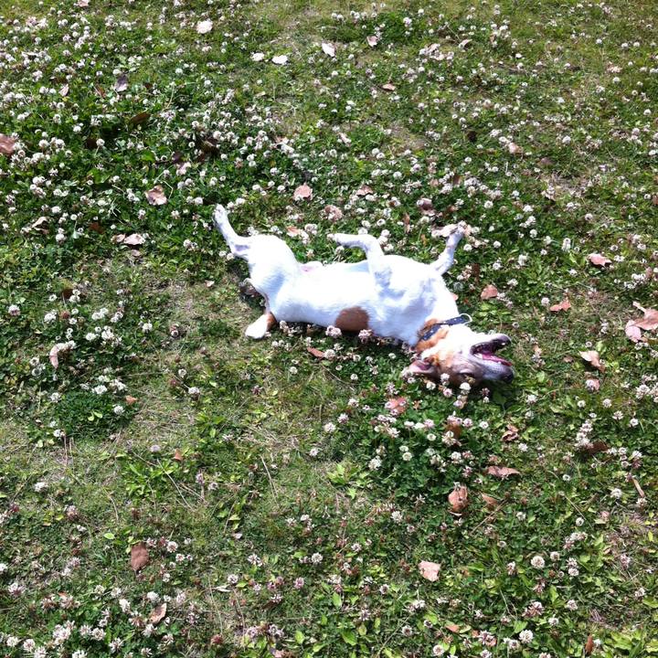 84444270 1ce0 41ee bdd7 d19a206901ac